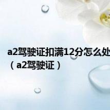 a2驾驶证扣满12分怎么处理方法(a2驾驶证)