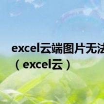 excel云端图片无法显示(excel云)