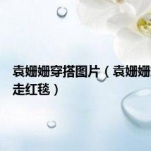 袁姗姗穿搭图片(袁姗姗穿睡衣走红毯)