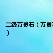 二级万灵石（万灵石2级）