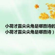 小荷才露尖尖角是哪首诗的意思（小荷才露尖尖角是哪首诗）