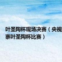 叶圣陶杯现场决赛（央视曝光山寨叶圣陶杯比赛）