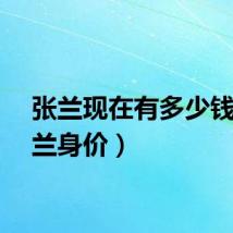 张兰现在有多少钱（张兰身价）