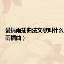 爱情雨插曲法文歌叫什么（爱情雨插曲）