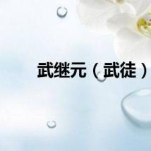 武继元（武徒）