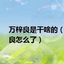万梓良是干啥的（万梓良怎么了）