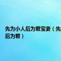 先为小人后为君宝妻（先为小人后为君）