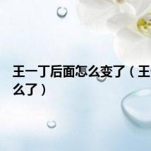 王一丁后面怎么变了(王一丁怎么了)