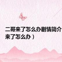 二哥来了怎么办剧情简介（二哥来了怎么办）