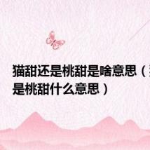 猫甜还是桃甜是啥意思(猫甜还是桃甜什么意思)