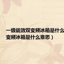 一级能效双变频冰箱是什么意思（变频冰箱是什么意思）