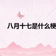 八月十七是什么梗？