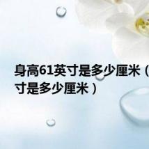 身高61英寸是多少厘米（6 1英寸是多少厘米）