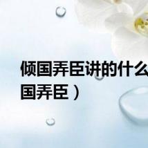 倾国弄臣讲的什么（倾国弄臣）