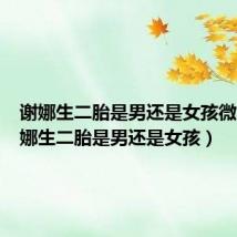 谢娜生二胎是男还是女孩微博(谢娜生二胎是男还是女孩)