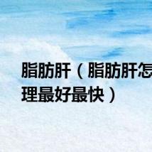 脂肪肝（脂肪肝怎么调理最好最快）