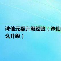 诛仙元婴升级经验(诛仙元婴怎么升级)