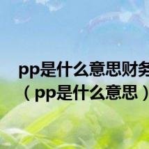 pp是什么意思财务管理(pp是什么意思)