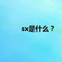 sx是什么？