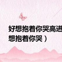 好想抱着你哭高进（好想抱着你哭）