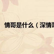 情哥是什么（深情哥）