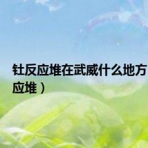 钍反应堆在武威什么地方(钍反应堆)