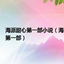 海派甜心第一部小说（海派甜心第一部）