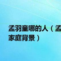 孟羽童哪的人（孟羽童家庭背景）