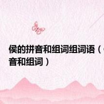 侯的拼音和组词组词语(侯的拼音和组词)