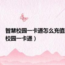 智慧校园一卡通怎么充值(智慧校园一卡通)