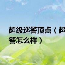 超级巡警顶点（超级巡警怎么样）