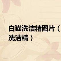 白猫洗洁精图片（白猫洗洁精）