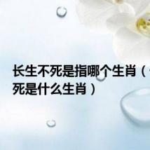 长生不死是指哪个生肖（长生不死是什么生肖）