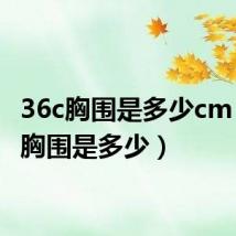 36c胸围是多少cm（36c胸围是多少）