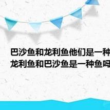 巴沙鱼和龙利鱼他们是一种鱼吗（龙利鱼和巴沙鱼是一种鱼吗）
