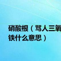 硝酸根（骂人三氧化二铁什么意思）