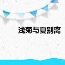 浅菊与夏别离