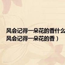 风会记得一朵花的香什么意思（风会记得一朵花的香）