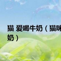 猫 爱喝牛奶（猫咪爱牛奶）