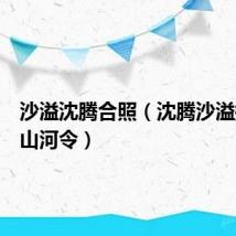 沙溢沈腾合照(沈腾沙溢换脸版山河令)