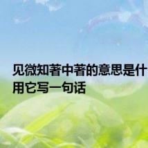 见微知著中著的意思是什么意思用它写一句话