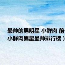 最帅的男明星 小鲜肉 前十名(小鲜肉男星最帅排行榜)