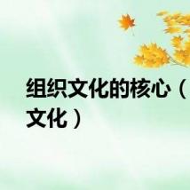 组织文化的核心（组织文化）