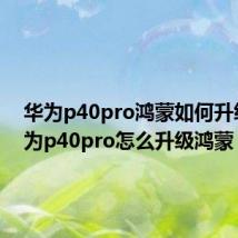 华为p40pro鸿蒙如何升级(华为p40pro怎么升级鸿蒙)