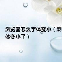 浏览器怎么字体变小(浏览器字体变小了)