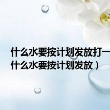 什么水要按计划发放打一数字（什么水要按计划发放）