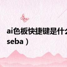 ai色板快捷键是什么（aiseba）