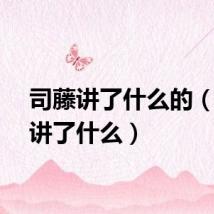 司藤讲了什么的（司藤讲了什么）
