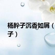 杨肸子沉香如屑（杨肸子）