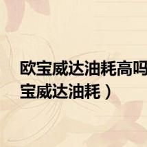 欧宝威达油耗高吗（欧宝威达油耗）